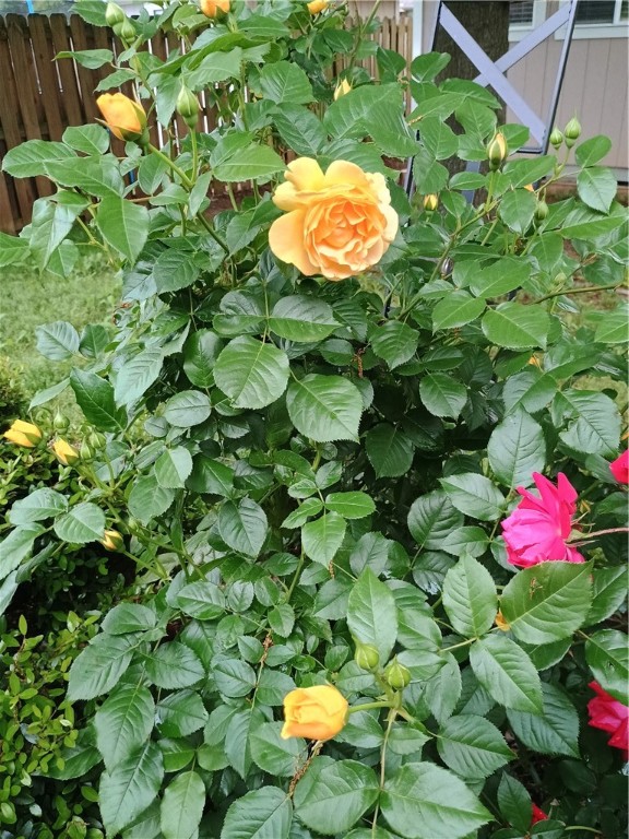 Crofton Manor Sub - Residential