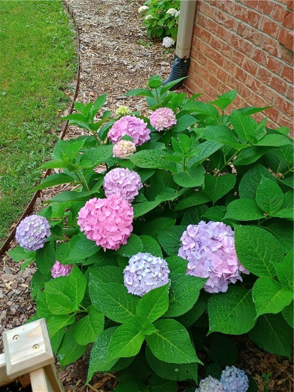 Crofton Manor Sub - Residential