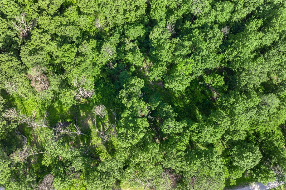 Round Mountain Estates - Land