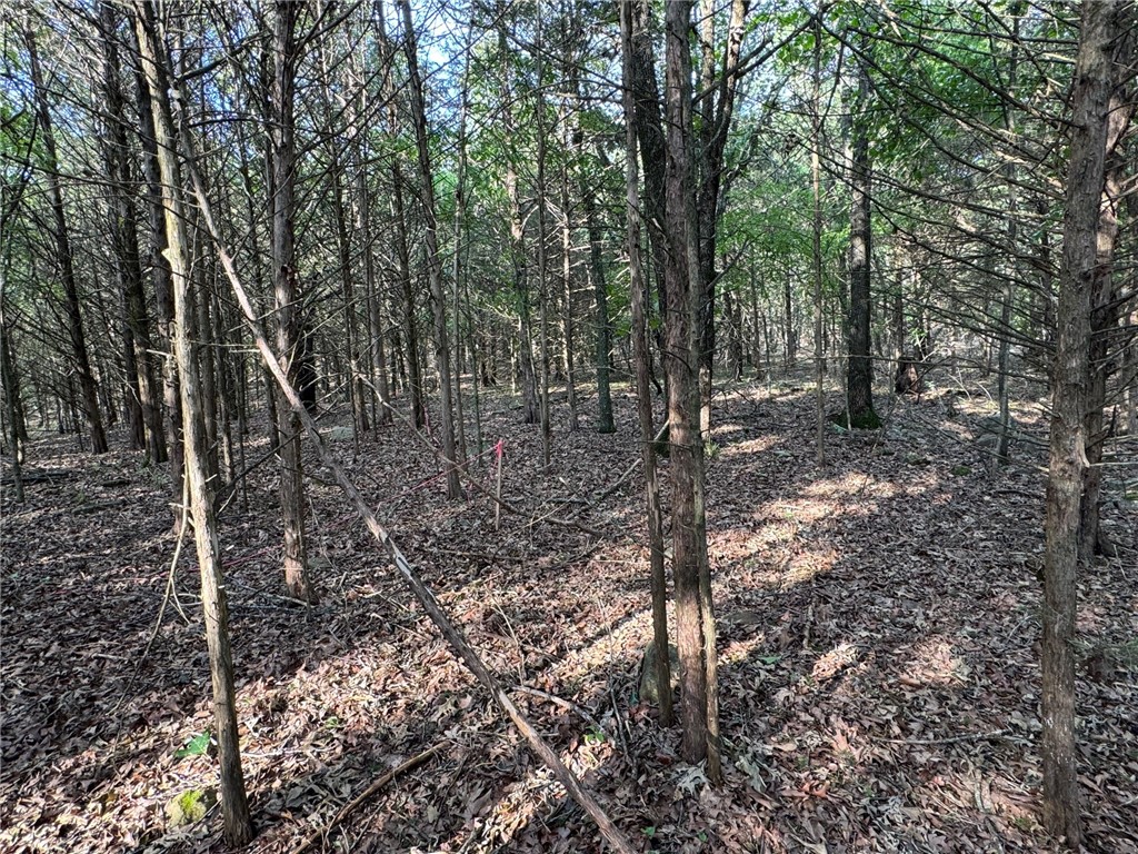 Quail Run - Land