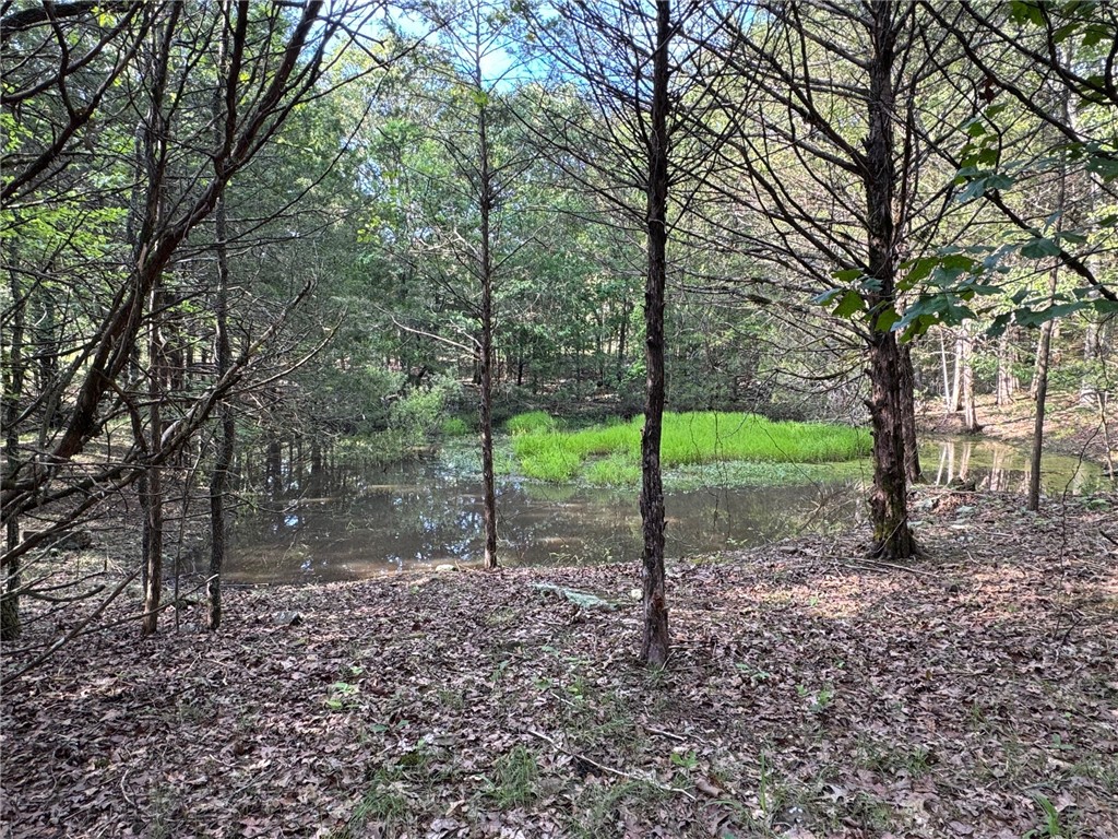 Quail Run - Land