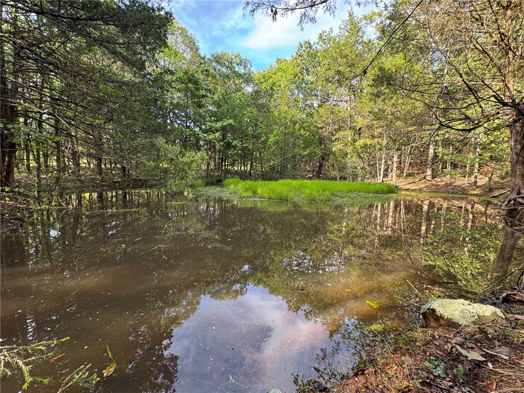 Dreaming of building your perfect home in a peaceful setting? This 3.07-acre lot in beautiful Goshen offers the ideal canvas. Flat and easy to build on, the property includes multiple prime build sites, giving you flexibility to design a layout that suits your lifestyle. A small pond adds charm and potential for landscaping or outdoor enjoyment. Zoned for Fayetteville Schools, this property offers the rare combination of space, scenery, and top-rated education. The seller has already marked a build site and is including custom house plans—saving you time and money as you bring your vision to life. Don’t miss this incredible opportunity to create your dream home in one of the most desirable areas of Northwest Arkansas!