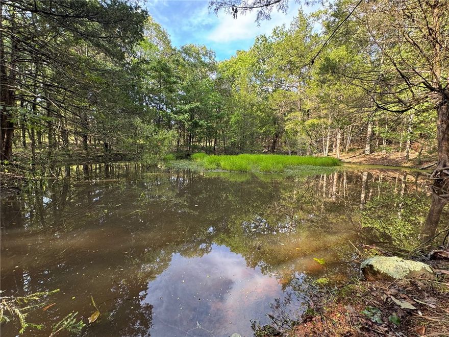 Dreaming of building your perfect home in a peaceful setting? This 3.07-acre lot in beautiful Goshen offers the ideal canvas. Flat and easy to build on, the property includes multiple prime build sites, giving you flexibility to design a layout that suits your lifestyle. A small pond adds charm and potential for landscaping or outdoor enjoyment. Zoned for Fayetteville Schools, this property offers the rare combination of space, scenery, and top-rated education. The seller has already marked a build site and is including custom house plans—saving you time and money as you bring your vision to life. Don’t miss this incredible opportunity to create your dream home in one of the most desirable areas of Northwest Arkansas!