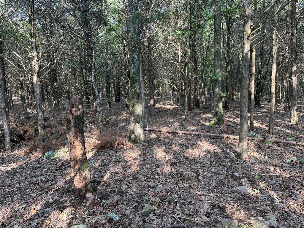 Quail Run - Land