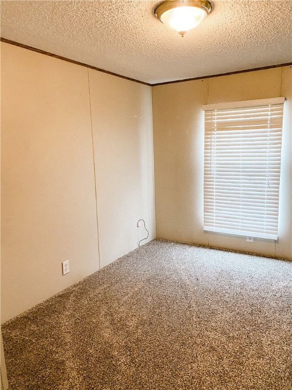 Chickens and cows oh my - Farm