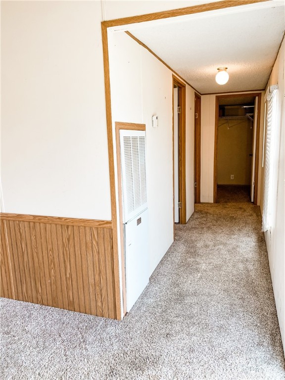 Chickens and cows oh my - Farm