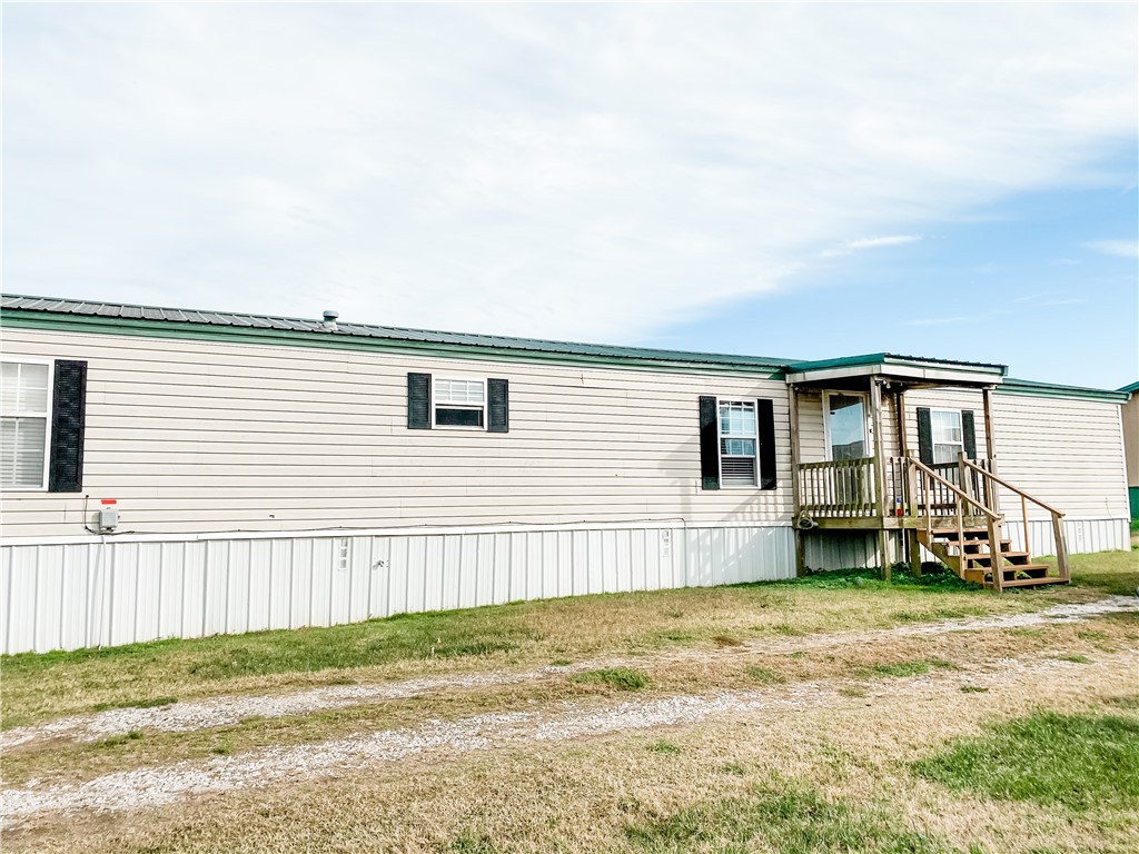 Chickens and cows oh my - Farm