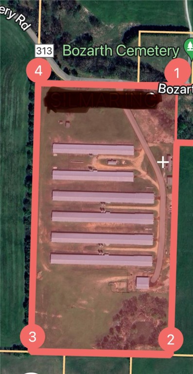 Chickens and cows oh my - Farm