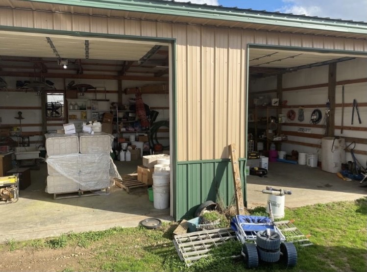 Chickens and cows oh my - Farm