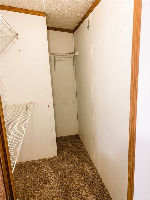 Chickens and cows oh my - Farm