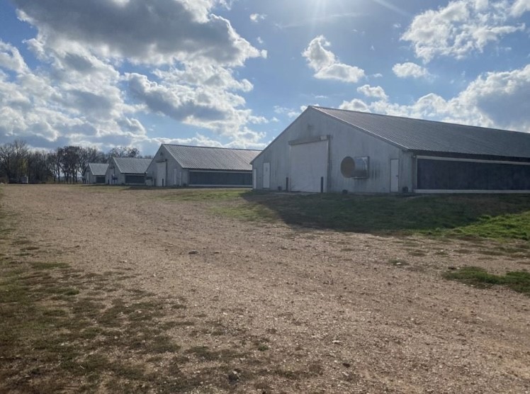 DO NOT GO TO THE FARM!!!! By appointment only!!!! TWO FARMS FOR THE PRICE OF 1! YOU HEARD ME! HAVE TWO OPERATIONS AND TWO DWELLINGS! 1/6 houses combo of years/sizes with Simmons contract in place - with single wide on 20 ac mol (new survey will be required) and 2/ 4 house farm - combo of years - Simmons with a dwelling sitting on a little over 9 ac mol. This is a great opportunity for someone looking to start their poultry dreams! Call today!
*new survey required - portion of a larger tract on farm 1* Addresses: tbd Bozarth Cemetery Road, Gentry, AR (20 ac mol with mobile/6 poultry houses) and 19339 Shankle Road, Gentry, AR (9 ac mol with 4 poultry houses, stacking shed, shop and dwelling)