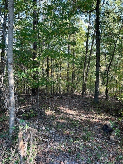 Build your dream home on this private gently sloping lot in highly sought after Westbrook Subdivision. Close to Tunnel Vision Bike Trail, Lake Windsor and all other Bella Vista amenities. Bella Vista includes 7 lakes, 5 golf courses, and miles of World Class bike trails!