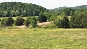 Home on 60 acres surrounded by mountain views and rolling hills. Covered back deck allows for day or night entertainment of simply watching the wildlife roam! Multiple outbuildings, shop, fenced back yard, 4 bedrooms and 2full baths, and over 2500 sqft.
