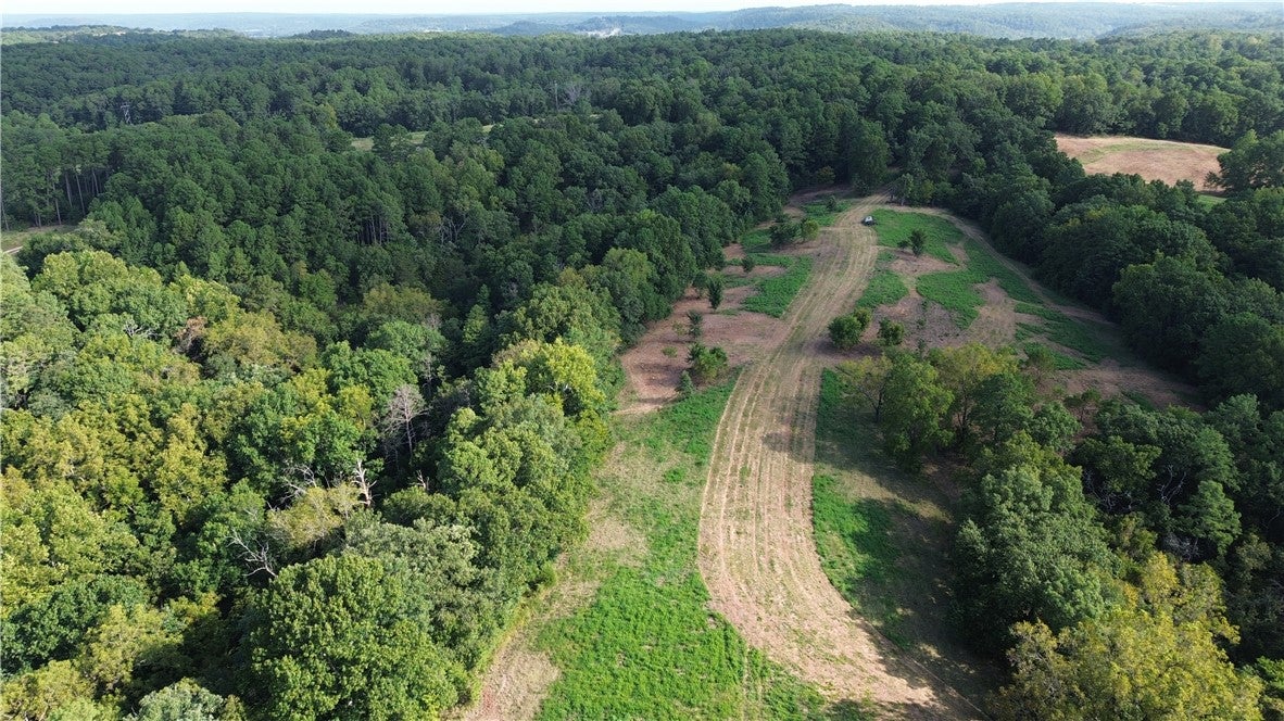 1029 Bear Hollow Road