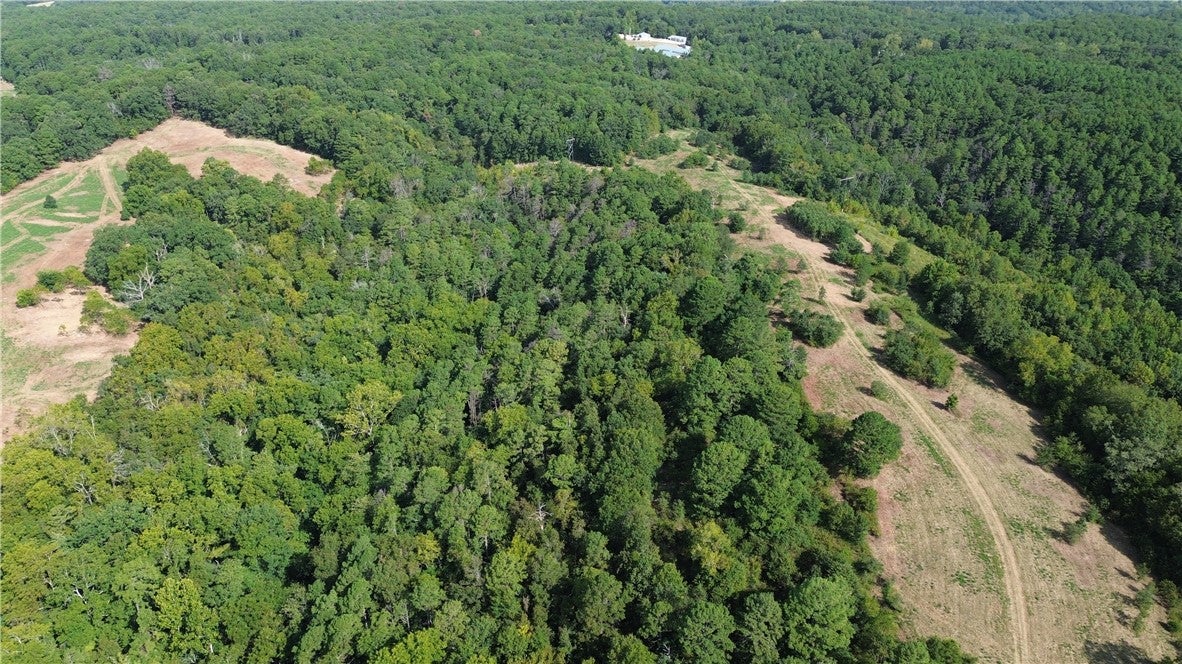 1029 Bear Hollow Road
