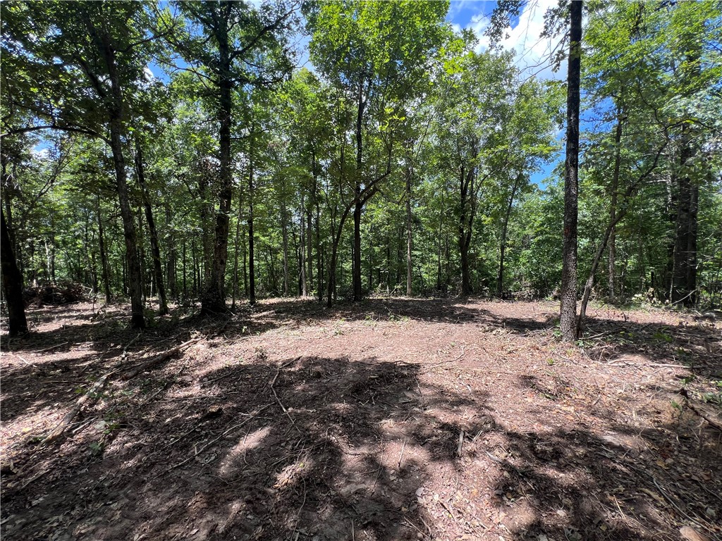 29.54 Acres of Recreational Timberland | Searcy County, AR
Located near the quiet Oxley community, this 29.54-acre tract offers an excellent opportunity for those seeking a secluded hunting retreat or an off-grid homestead. Surrounded by timber and teeming with wildlife, the property lies approximately 3/4 mile off the county roadāperfect for those looking to escape the hustle and bustle. Whether youāre after privacy, recreation, or a place to build your off-grid dream, this peaceful piece of the Ozarks could be just what youāre looking for! There is adjoining 41.64 Acre tract that could be purchased also if you are wanting more. Seller will provide a road and utilities easement to buyer at closing.