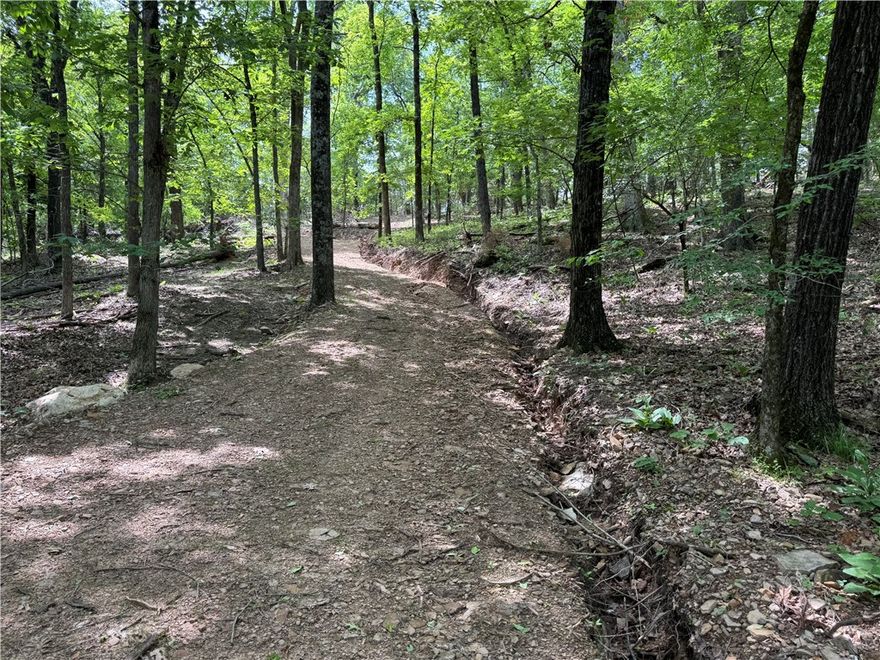 Escape to the peace and quiet of nature with this beautiful wooded property—perfect for your dream
home or a private hunting cabin. Nestled in a serene setting surrounded by mature trees and wildlife, this
land offers the ideal backdrop for a weekend getaway, hunting retreat, or full-time country living. With
plenty of space to roam, you’ll enjoy privacy, natural beauty, and endless possibilities to create your own
retreat in the woods. Whether you’re looking to build a custom home, set up a hunting lodge, or simply
enjoy the great outdoors, this property provides the perfect canvas.  Seller will provide a $35,000 credit toward having a well installed
