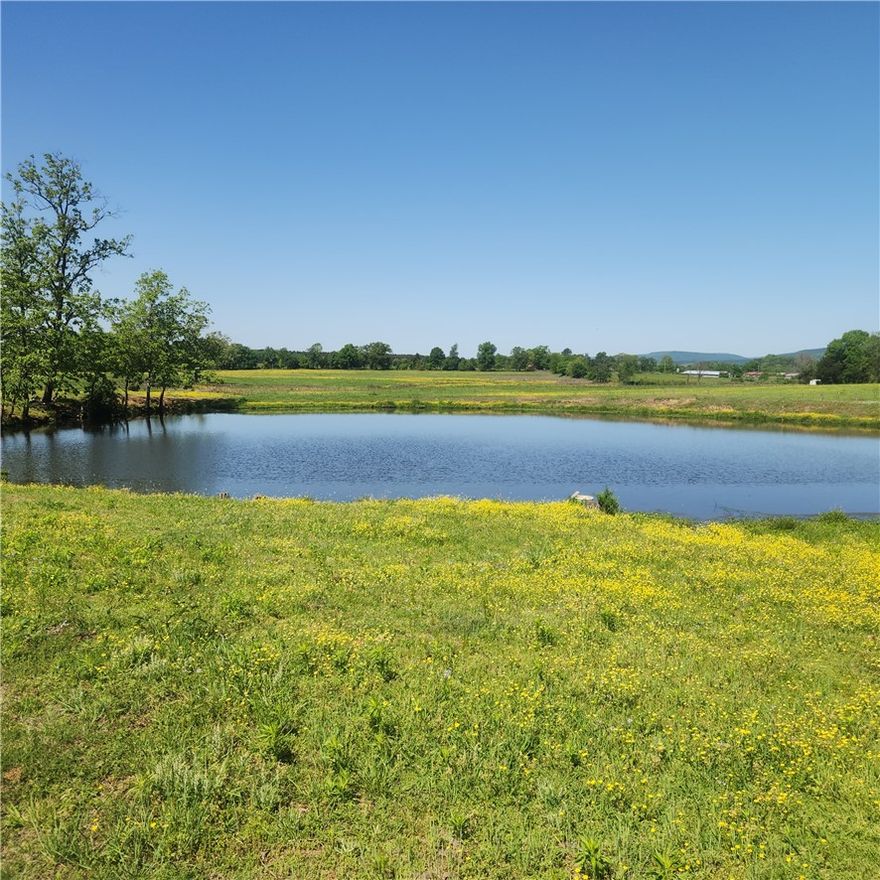 What a Beautiful place to call your own! Set up with everything you need for a cattle operation, and take advantage of everything that is in place to turn it into the stock operation you've been dreaming of.  Fenced and cross-fenced, a great older wooden barn with headgate, and stock pen, , Multiple outbuildings including a shop and a tractor barn, and sheds, good ponds and a dependable spring that's never run dry,  and great grass that will ensure your livestock thrives! Nice ranch style home with 3 beds, 2 baths, newer double vinyl windows and a large covered deck to sit out and enjoy the peach and quiet of this idyllic spot! Everything is set up and ready, all that's needed is you and your family, and whatever kind of stock you want to bring to set up your own Ozark Mountains Farm! Beautiful views in every direction, peace and quiet all around, these kind of properties are few and far between. Call today to set up your private showing.