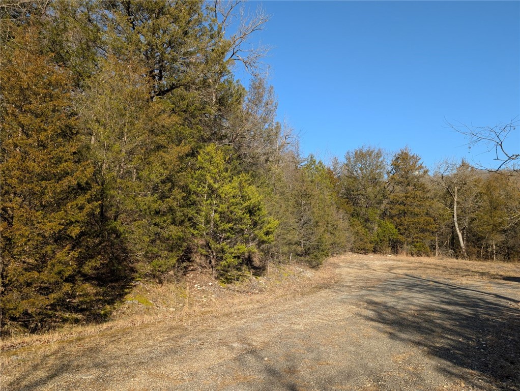 Unit 115 Holiday Island - Land