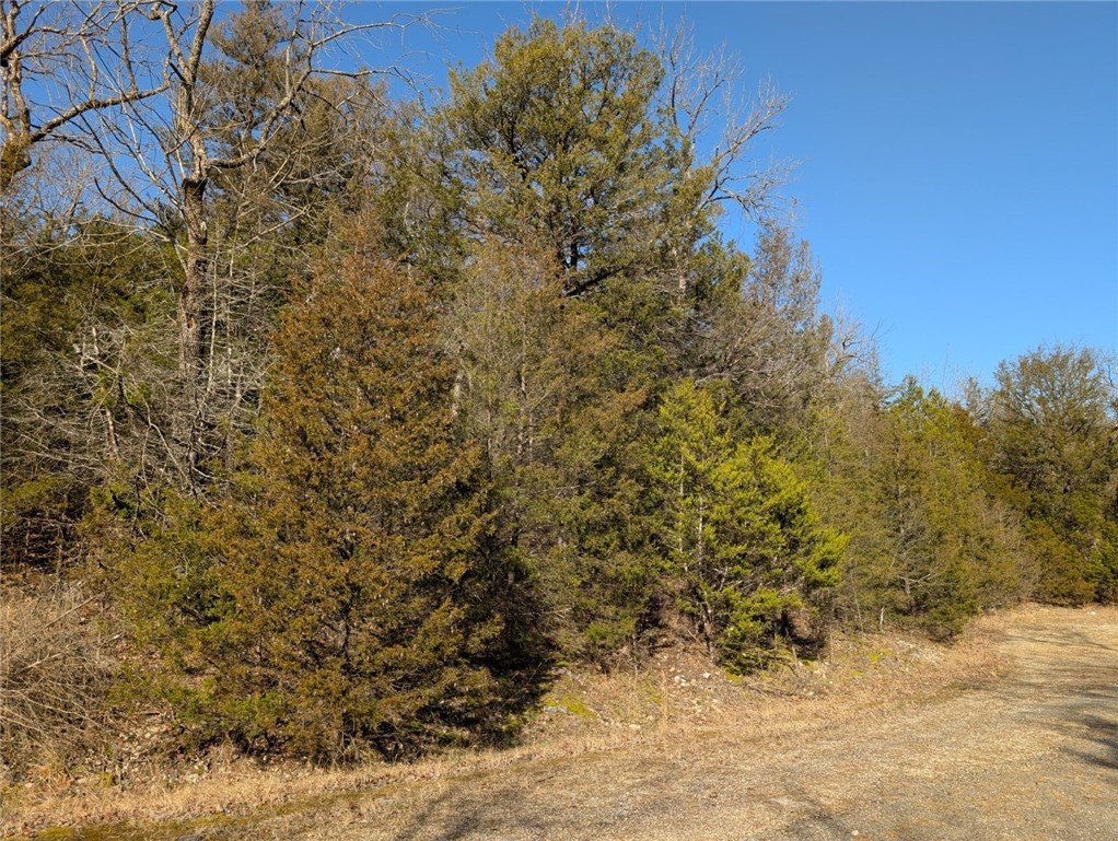 Unit 115 Holiday Island - Land