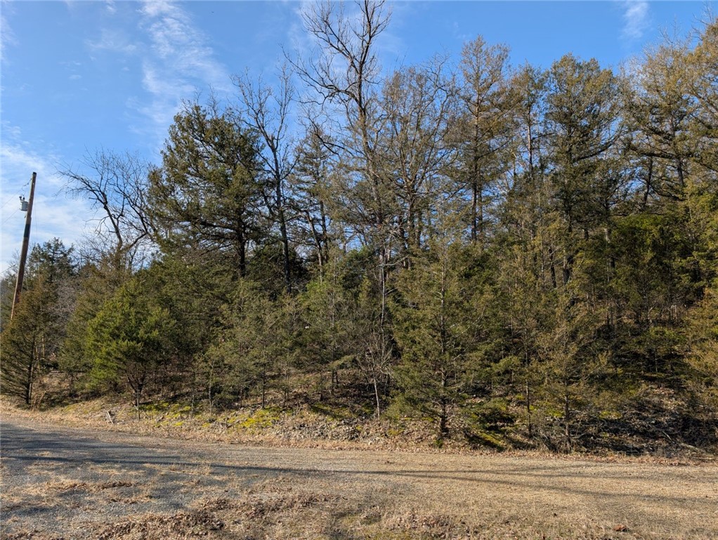 Unit 115 Holiday Island - Land