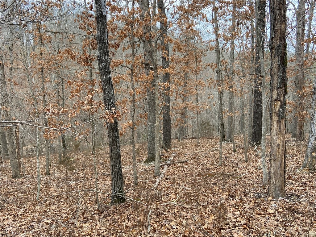 Buildable, Perced, Surveyed and Septic Designed lot on the Summit School Trail surrounded by Lake Ann, Lake Brittany and the Back 40 Loop! Buckingham/Back 40 Loop Trailhead less than 1.5 miles aways! Beautifully Developed street with New Construction (less than 12 months) in established and coveted neighborhood. Perfect location for enjoying the Ozarks in the Mountain Bike Capital of the World! Trail access from back of lot is easily achieved, making this lot a true Bike In/Bike Out! Countless exciting features coming to the Mountain Bike Trails of Bella Vista, making it the Crown Jewel of Resort & Recreation Living in NWA. Get a head start on your dream home or income-generating STR with this exciting lot!