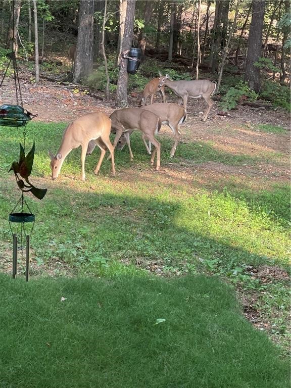 Northumberland Sub Bvv - Residential