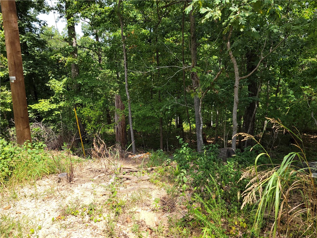 This large lot (.37 ac) has access to SEWER and is located on a cul-de-sac!!! Located only about 1/2 mile from The Back 40 MBT and a short drive to the main highway (Hwy 71), you can be in Bentonville or Missouri in just a few minutes. Go check out this lot to see if this is where you would want your new home to be built. Bentonville schools.