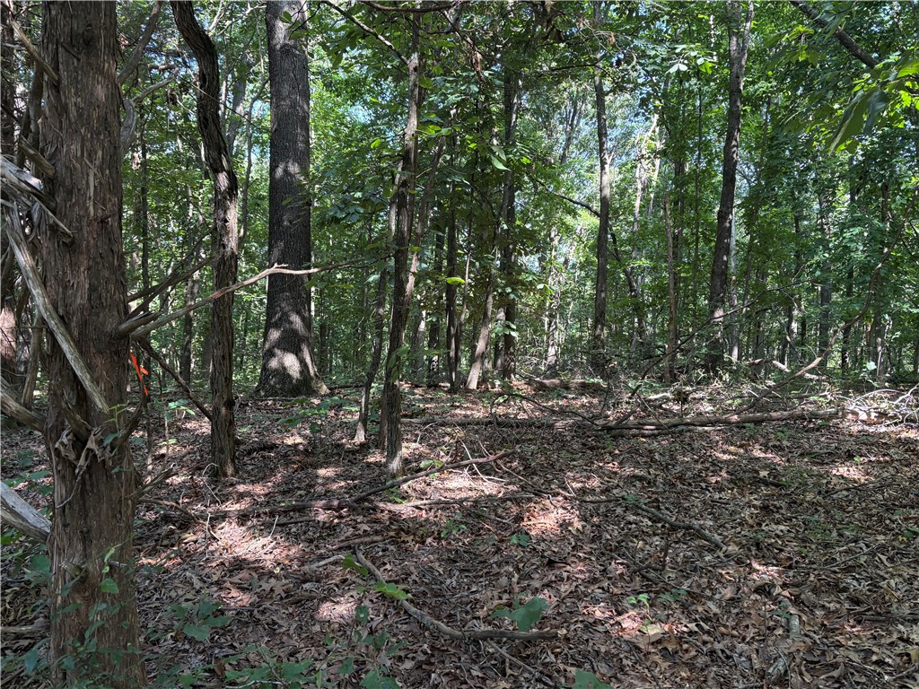 Here in a nice buildable lot in Posy Mountain Ranch on Arabian Drive south of Garfield. Lost Bridge Village covenants apply, no mobiles allowed. Electricity is just up the road, and this lot will need a water well and a septic system. Buy this for the future or plan your dream home in the country! Beautiful hardwood trees and wildlife abound in this quiet area!
