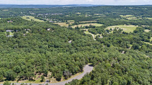 **Hot Price Adjustment** Discover the potential of this 2.29-acre wooded lot in a charming small town, offering future bluff views of the city and mountains once cleared. Situated on paved roads with utilities at hand, it's primed for your dream retreat. Unveil the beauty of the landscape as you carve out your sanctuary, where serene vistas await. Seize the opportunity to craft your ideal haven amidst nature's grandeur.