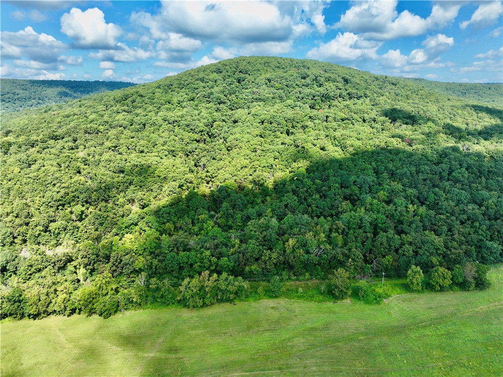 Incredible Madison County hunting and recreational property minutes from St. Paul with Hwy 16 frontage. Features rural water, electric, and natural gas plus panoramic views and multiple building sites. Enjoy a scenic pond, established trail system, and abundant deer, turkey, and bear. Hardwood timber includes white oak, red oak, and black walnut with possible merchantable value. A true hunting oasis and once-in-a-lifetime investment opportunity in the Ozark's!