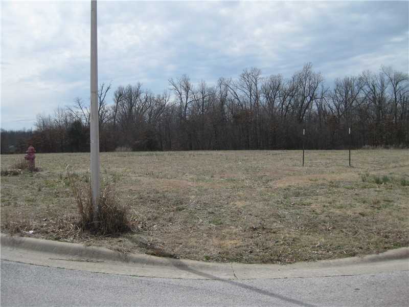 Build your custom home on this 2.64 AC corner lot in Forest Hills. Spacious for a beautiful yard with woods at the back of the lot. H20 tap connect fee has been paid. Perc test completed and system permit has been filed. Don't miss out on this beautiful,lot! It is the only lot for sale in this almost-completed subdivision.