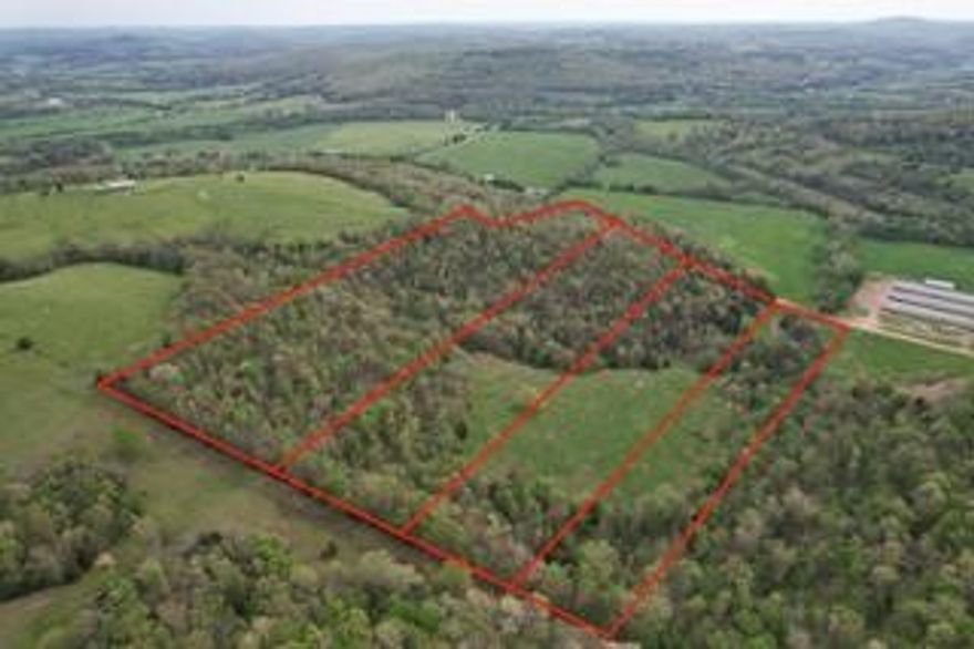 Escape to the natural beauty of Madison County with picturesque 14.35-acre tract, now available located just 10 minutes from Huntsville, offering the perfect mix of open pasture, mature woods, and a year-round stream—ideal for building your dream home, hobby farming, or weekend retreats.
The 14.35-acre tract will be divided at closing from the 44.35 acres (MLS 1305885)
Come explore the native wildlife, making it a dream spot for outdoor lovers, hunters, or anyone seeking peace and privacy in nature.
Whether you're looking to create a homestead, invest in land, or simply enjoy the quiet countryside, this offers a rare opportunity to own a slice of Arkansas’s scenic landscape.