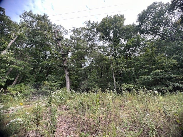 This beautiful lot has tons of potential! It's located in an area that is still mostly undeveloped which means very few neighbors and lots of wildlife! The lot is sloped uphill leaving you a great location for a home with a basement garage area. The structures located on this lot will need to be torn down. They have no structural integrity anymore, but electrical and plumbing have been run to them. Enjoy the amenities of Holiday Island with golf, fishing, recreation center, swimming pool, park and more. Shopping and Restaurants close. Eureka Springs is 15 minutes down the road and Branson is 45 minutes to the east.