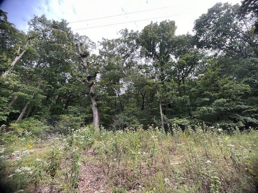 This beautiful lot has tons of potential!  It's located in an area that is still mostly undeveloped which means very few neighbors and lots of wildlife!  The lot is sloped uphill leaving you a great location for a home with a basement garage area.  The structures located on this lot will need to be torn down.  They have no structural integrity anymore, but electrical and plumbing have been run to them.  Enjoy the amenities of Holiday Island with golf, fishing, recreation center, swimming pool, park and more.  Shopping and Restaurants close.  Eureka Springs is 15 minutes down the road and Branson is 45 minutes to the east.