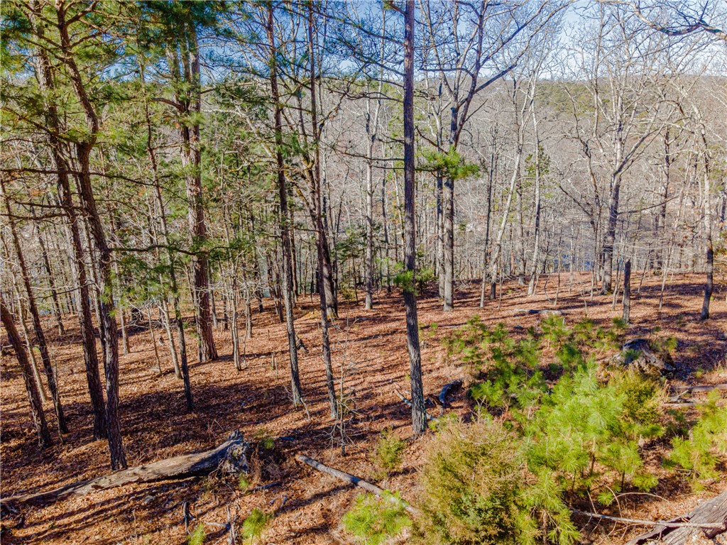 Builders Dream. A 287' Lakefront parcel on Ventris Hollow Cove with no HOA/POA dues. Covenants require 500 SF minimum home build, and mobile/manufactured homes are allowed. A rare find at the lake. Septic plans previously approved in 2014 for a 3 BR structure, possibly could be more if you build closer to road (requires confirm with County). 400 foot deep Water Well drilled, needs pump/sulfur filters. Electric already installed underground to build site or RV pad. 8 x 20 steel storage container on pad conveys, includes 12' aluminum boat inside. Shoreline not USACE dock-able. Property slopes for the majority, but steeper towards the Corps line. Not easy lake access, some rocks, but can get there. Beautiful views of cliffs across the cove. Only a 23 minute drive to Walnut Walmart. Perfect site for Summer/Vacation Cabins with plenty of elbow room.