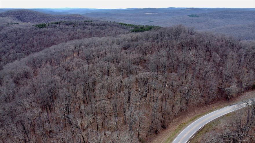 Highway Frontage & National Forest Access. Discover 25 acres of pristine land in the heart of the Ozarks! Located just 25 miles from Huntsville, AR, and 9 miles from Pettigrew, AR, this property offers a perfect blend of accessibility, natural beauty, and recreational potential. With blacktop highway frontage, reaching your slice of paradise is easy, yet the property feels secluded and surrounded by nature. It borders the national forest on two sides, providing direct access to thousands of acres of public land for endless outdoor adventures. The breathtaking views, mature marketable timber, and rolling terrain make this a truly special piece of land. This area is well known for excellent hunting, with abundant deer, turkey, and other wildlife. Whether you’re looking for a private retreat, a hunting property, or a place to build your dream home, this land has it all. Don’t miss this opportunity to own a piece of the Ozarks with unmatched natural beauty and potential. Call today for more details!