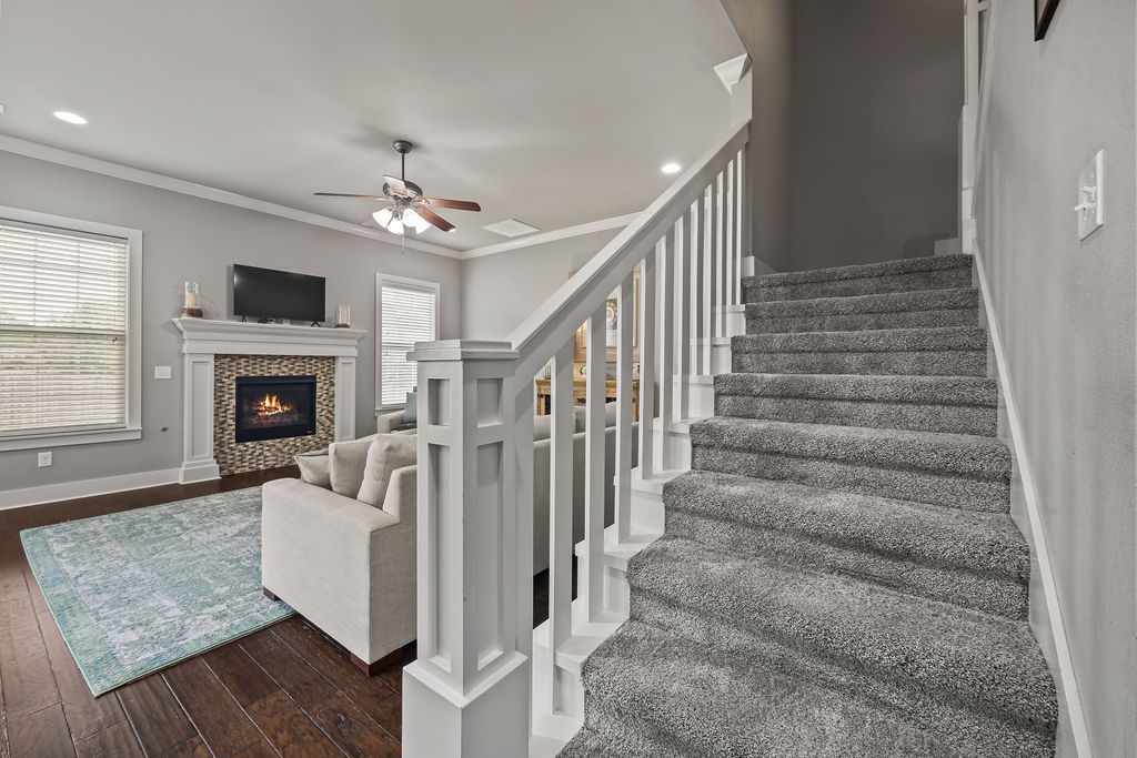 Hyde Park - Residential