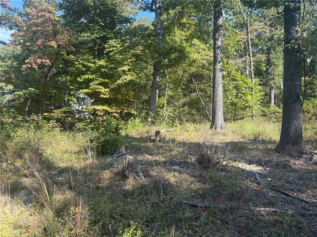 0 - Land