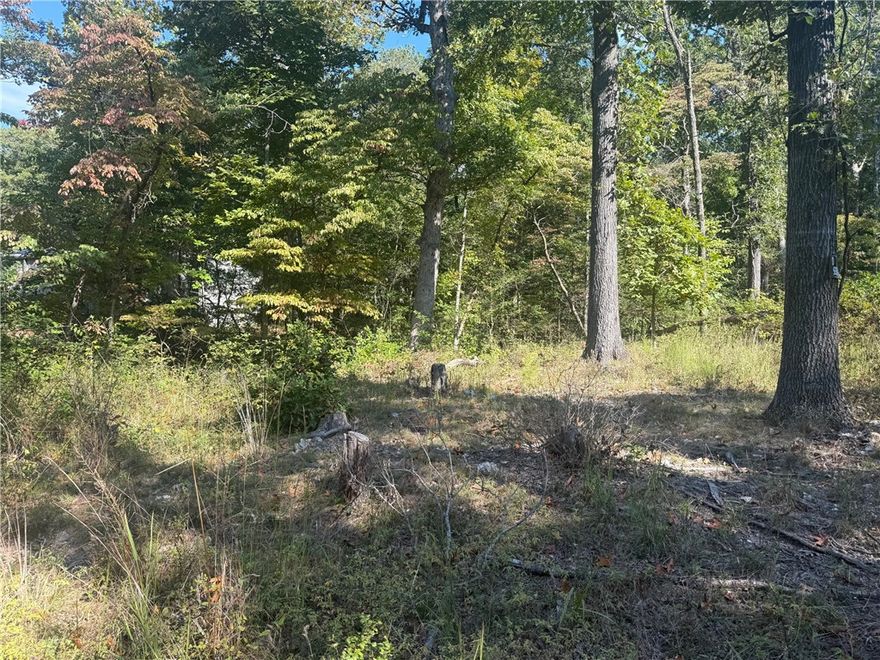 Incredible opportunity to own 5.48 acres in Northwest Arkansas—under $100K! This property offers a mix of cleared and wooded land, ideal for building your dream home, barndominium, or hobby farm. Located on a paved road with easy access to nearby towns, this peaceful setting gives you space and privacy while staying close to everything NWA has to offer. Bring your builder and imagine the possibilities!