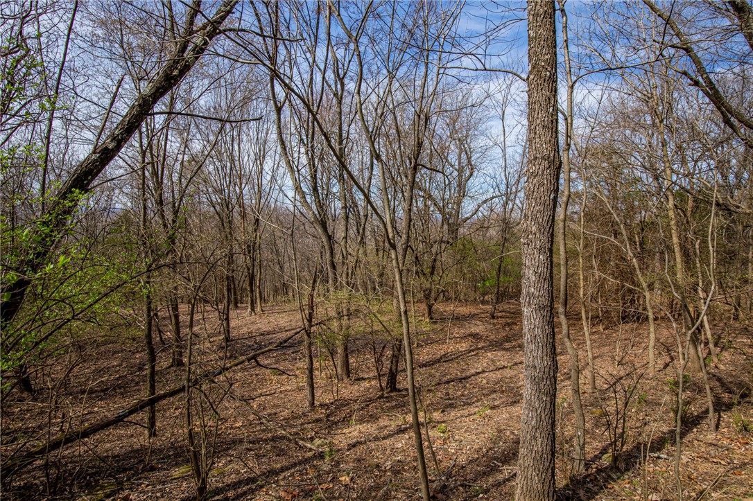 Fayetteville Outlots - Land
