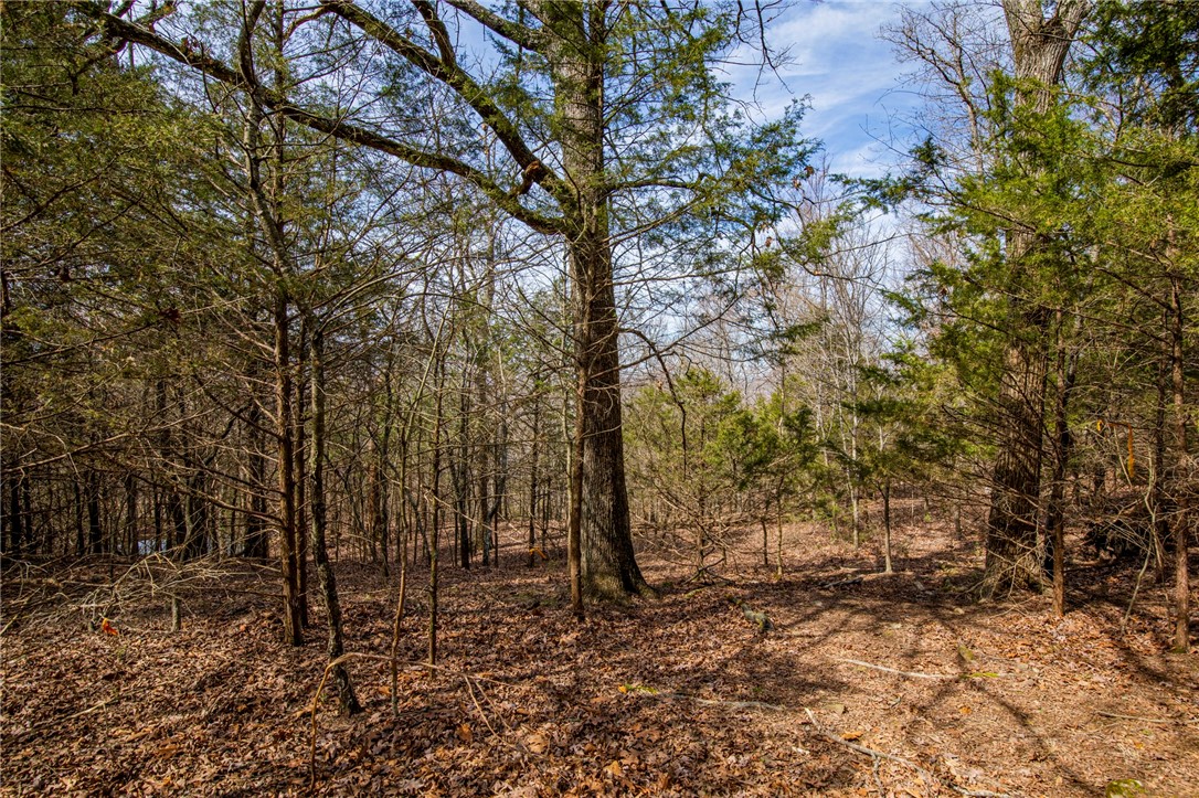 Fayetteville Outlots - Land