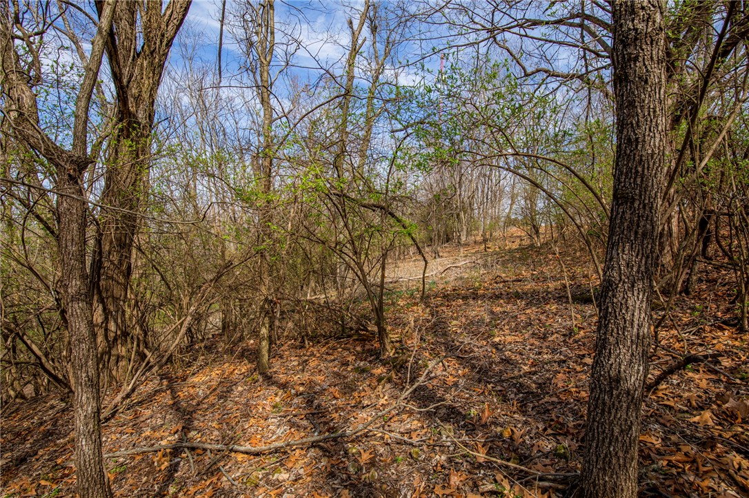Fayetteville Outlots - Land
