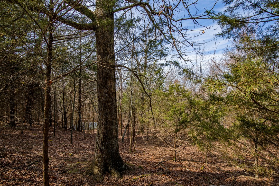 Fayetteville Outlots - Land