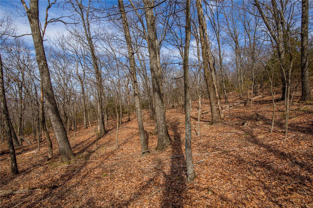 Fayetteville Outlots - Land