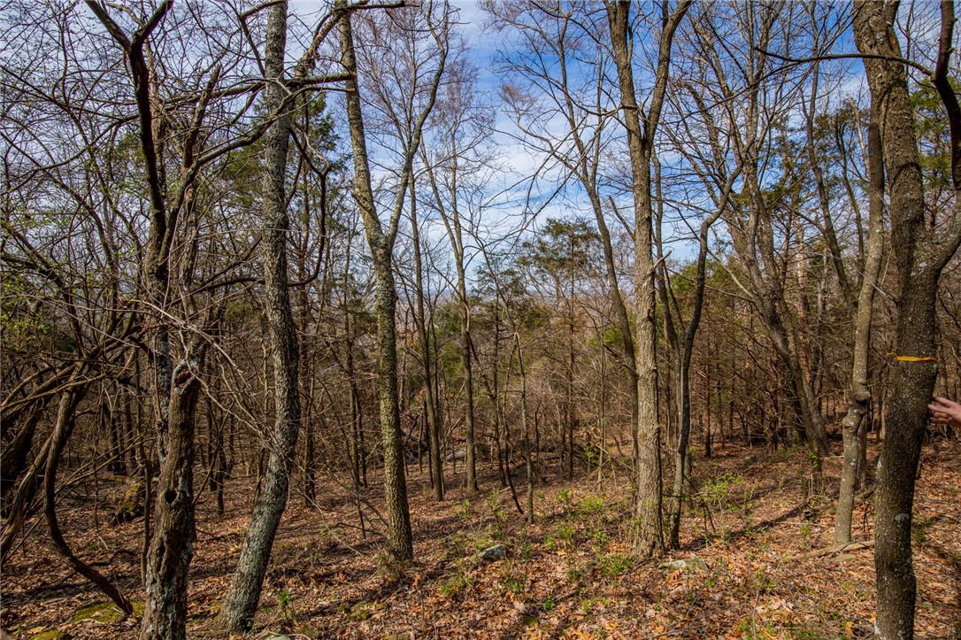Fayetteville Outlots - Land
