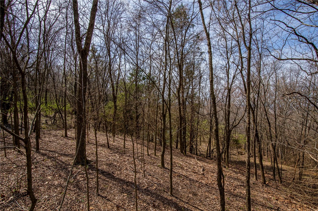 Fayetteville Outlots - Land