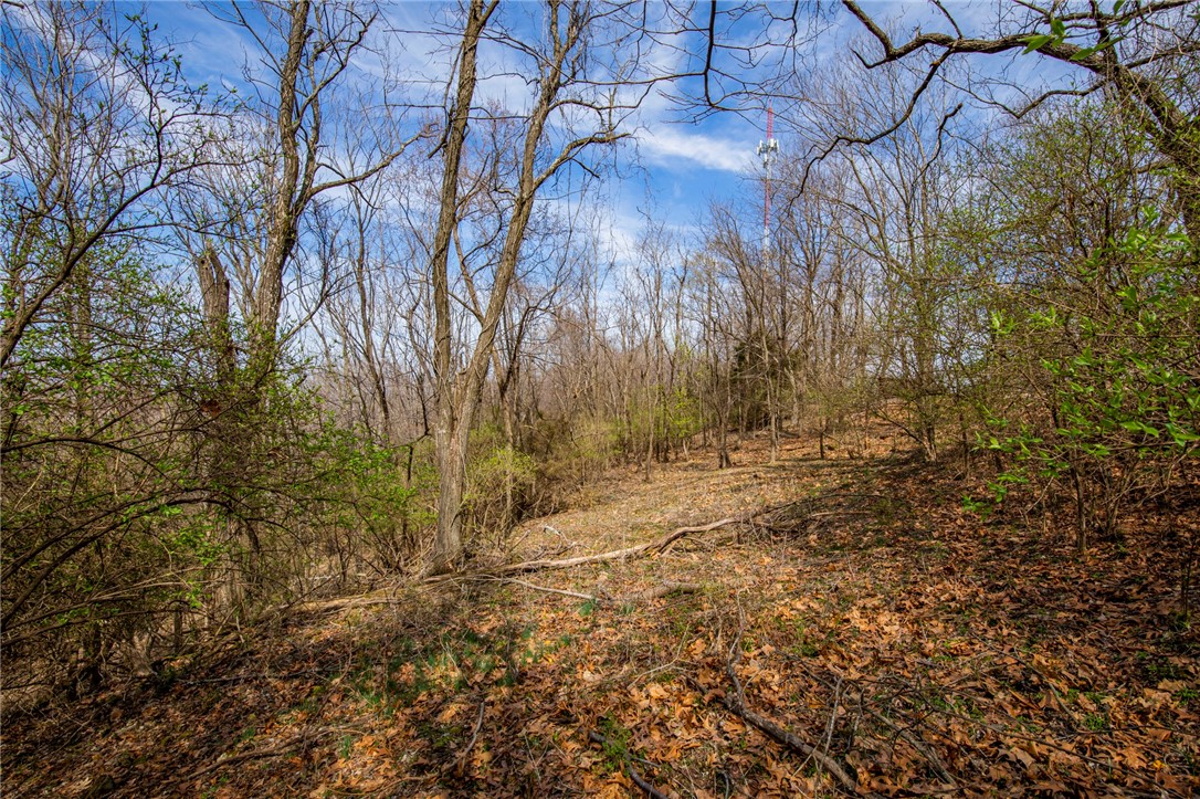 Fayetteville Outlots - Land