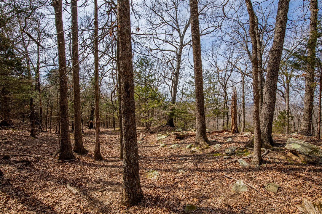 Fayetteville Outlots - Land