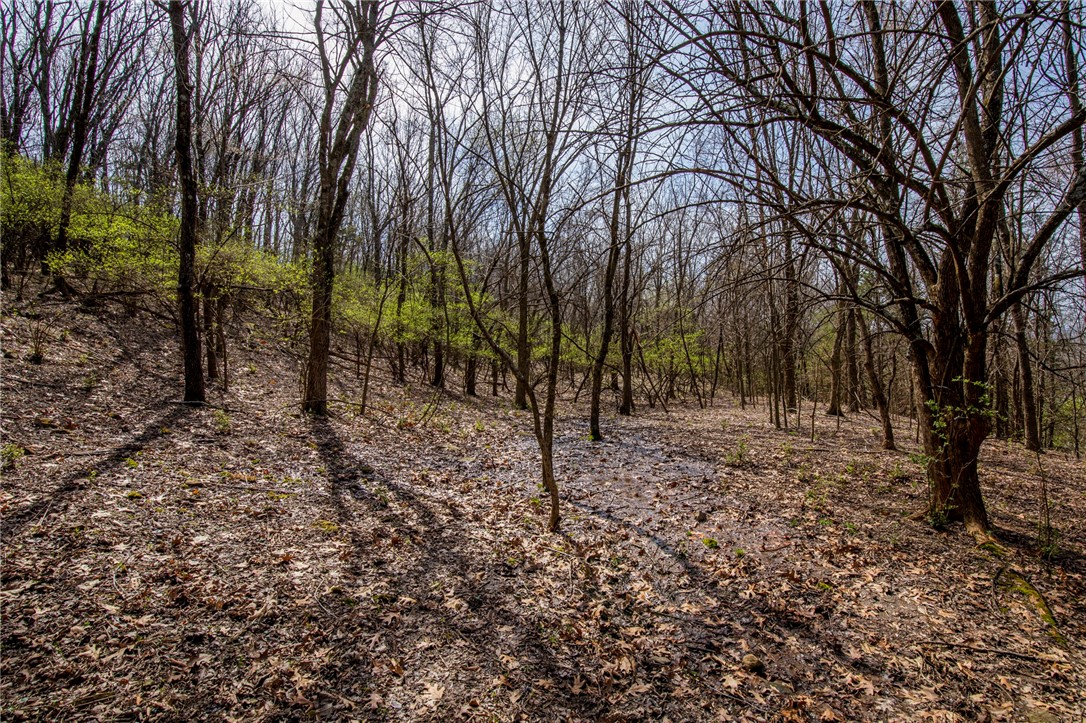Fayetteville Outlots - Land